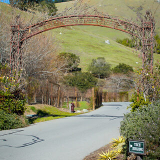 Skywalker Ranch, Marin County #StrangeMagicEvent