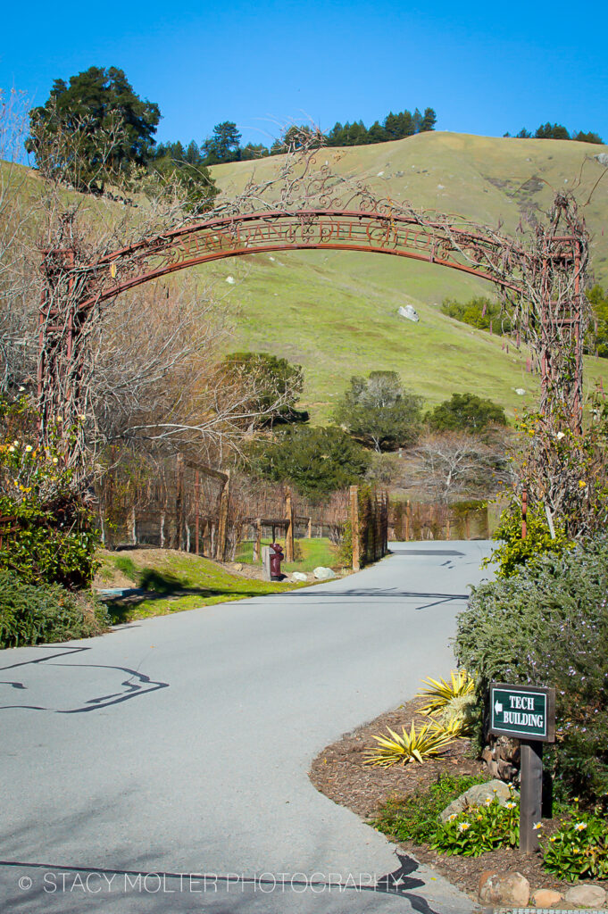 Skywalker Ranch, Marin County #StrangeMagicEvent