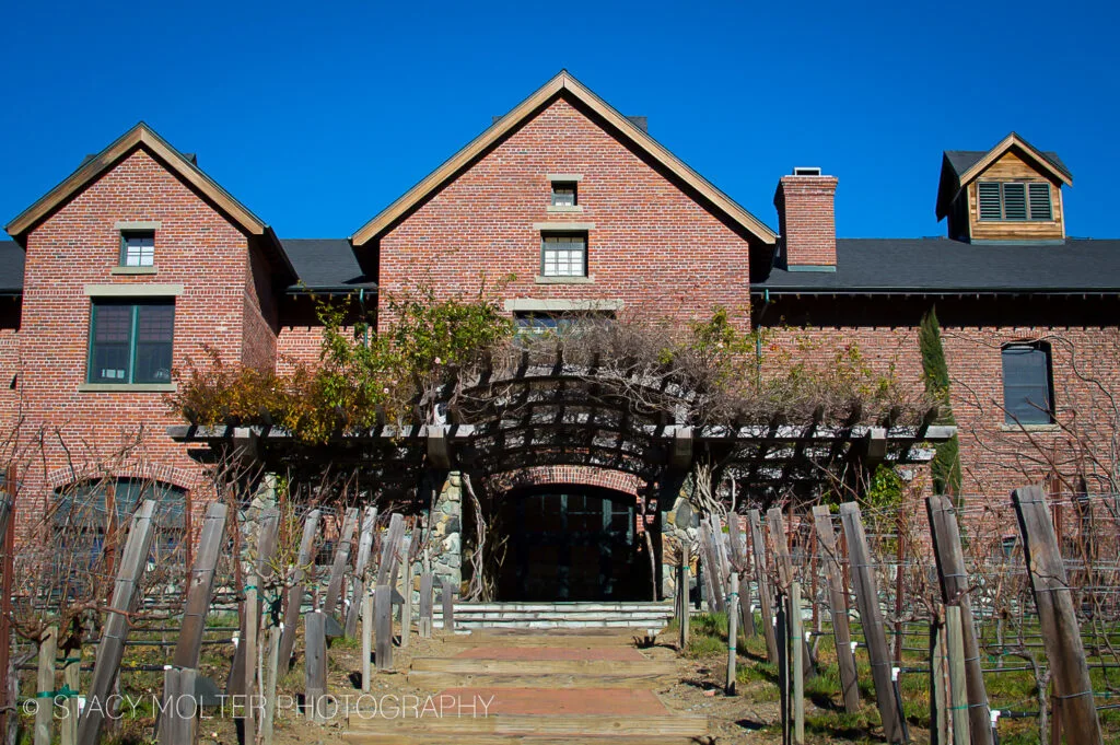 Must- See George Lucas' Skywalker Ranch Tour Photos