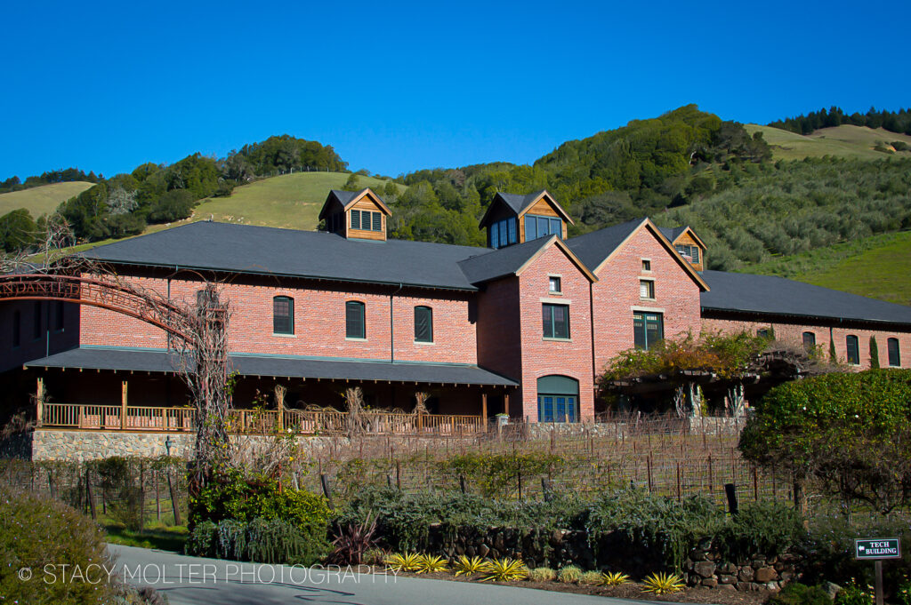 Must- See George Lucas' Skywalker Ranch Tour Photos