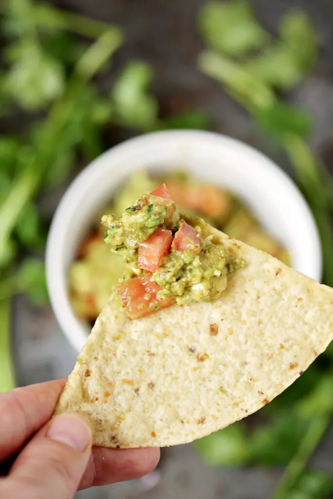 Easy Guacamole Recipe