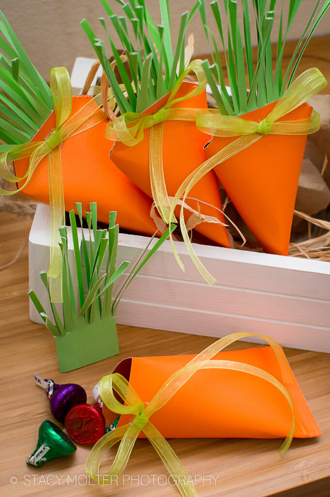 Carrot Treat Box: A Fun and Healthy Snack Option for Kids