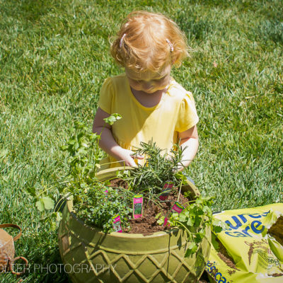 How to Plant an Herb Garden with Kids