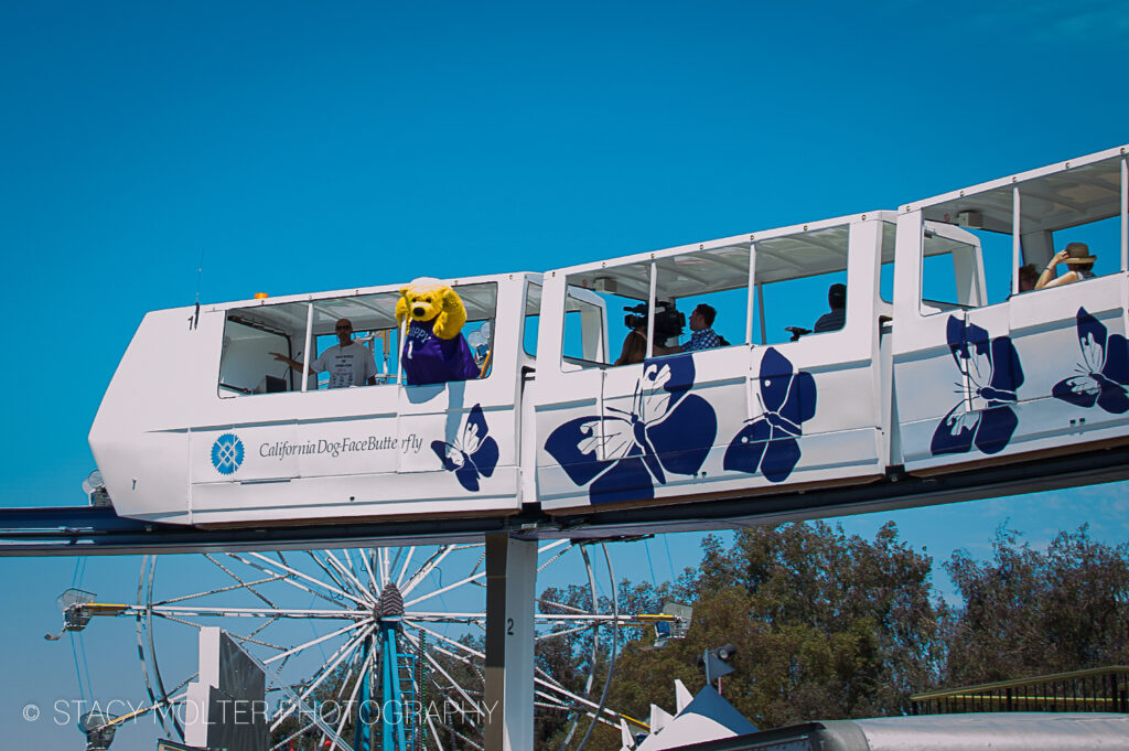 California State Fair 2025: Dates, Attractions, and What to Expect