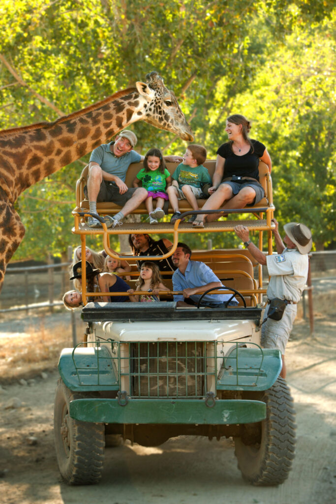 Best of Santa Rosa - The Hidden Gem of Sonoma County