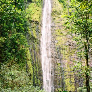 Haleakala National Park - Pools of Oheo