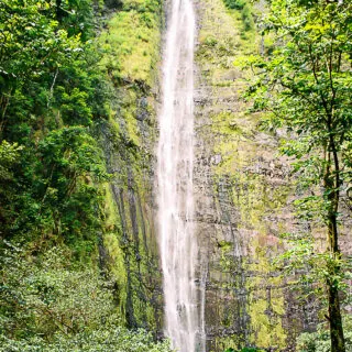 Haleakala National Park - Pools of Oheo