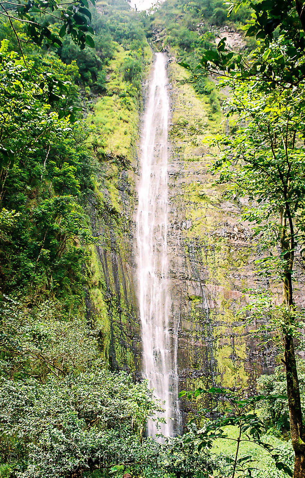 Haleakala National Park - Pools of Oheo