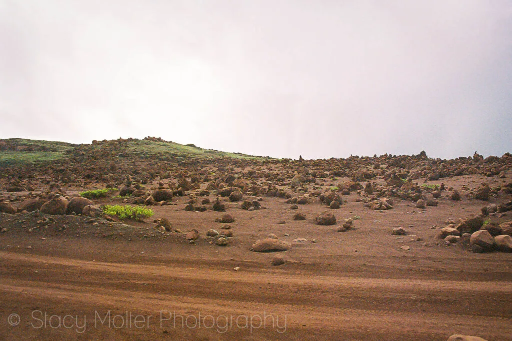 Lanai Day Trip