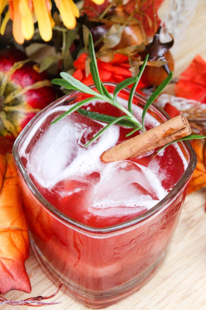 Spiced Cider & Cranberry Bourbon Cocktail Recipe: Perfect for Fall Gatherings