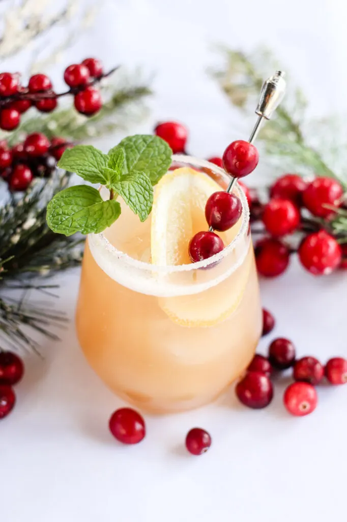 Cranberry Mint Cocktail: A Refreshing Holiday Drink - California Unpublished