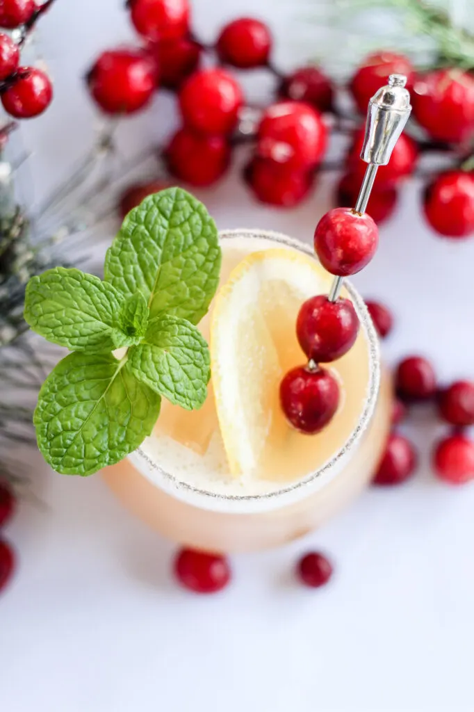 Cranberry Mint Cocktail 6 Cranberry Mint Cocktail