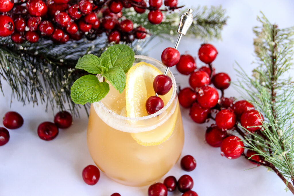 Cranberry Mint Cocktail