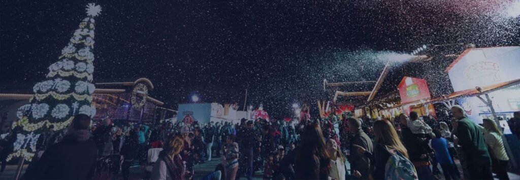 Winter Fest Orange County 2016