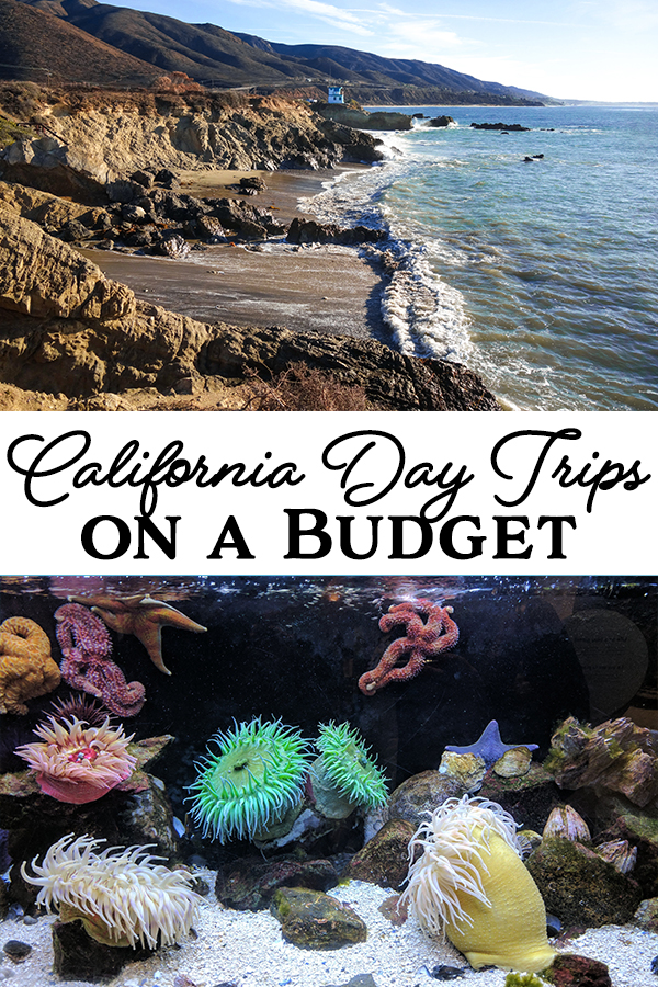 Whether a cool day on the beach or learning something new was on your bucket list it all can be done in Southern California on a dime. So pack up the whole family and make a day (or more) out of these awesome destinations! 