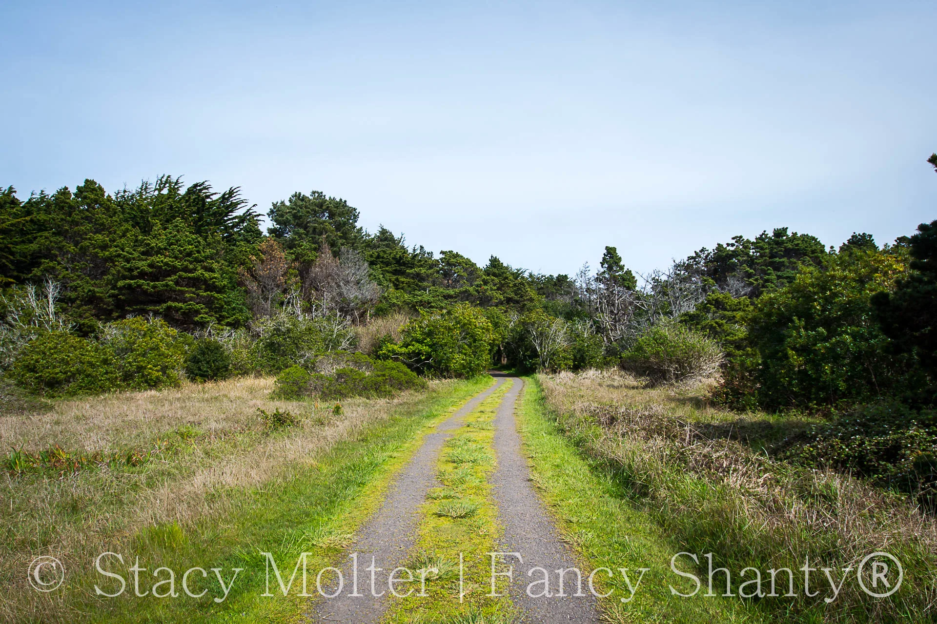 Must See Places in Mendocino