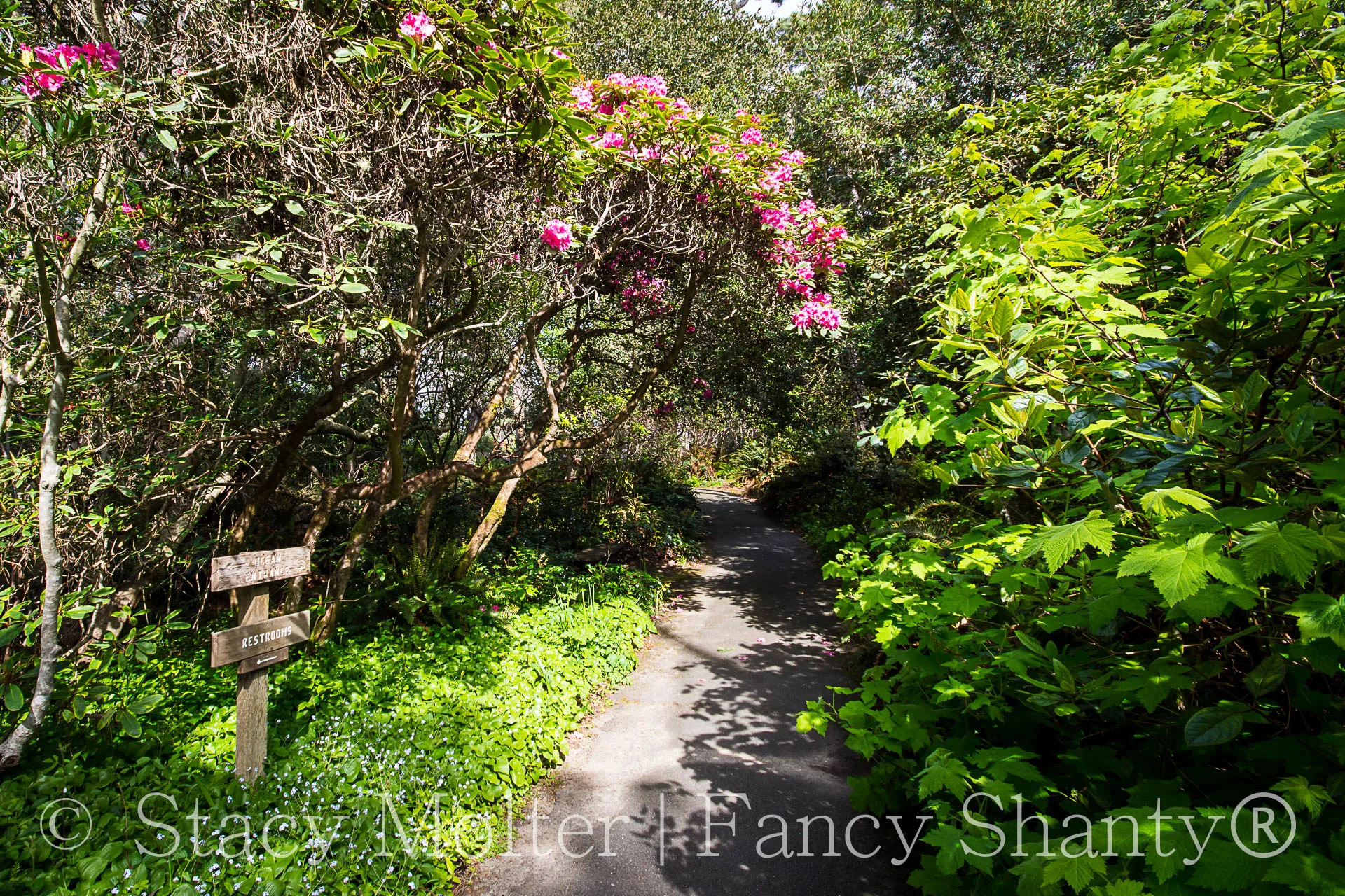 Must See Places in Mendocino