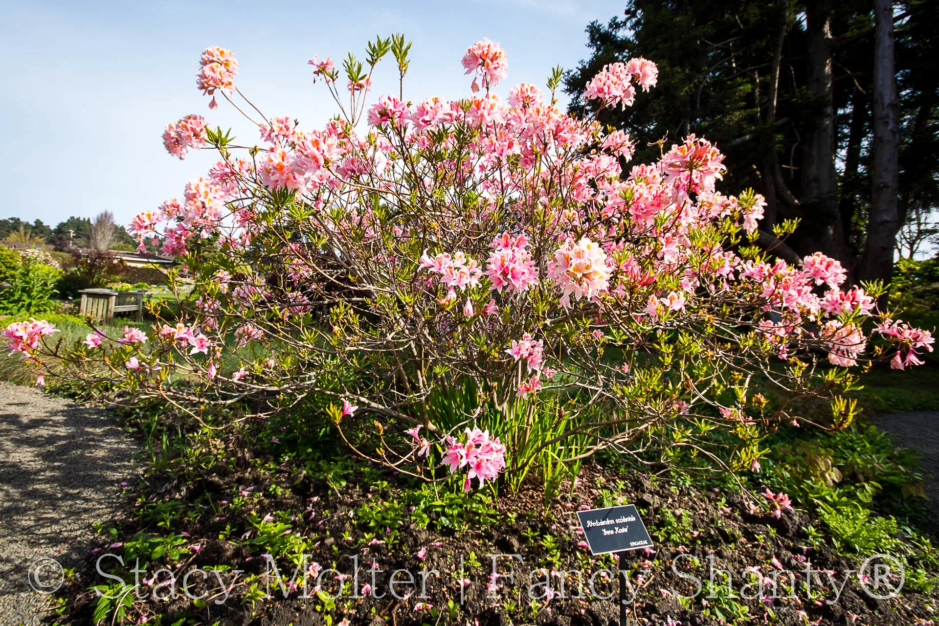 Must See Places in Mendocino