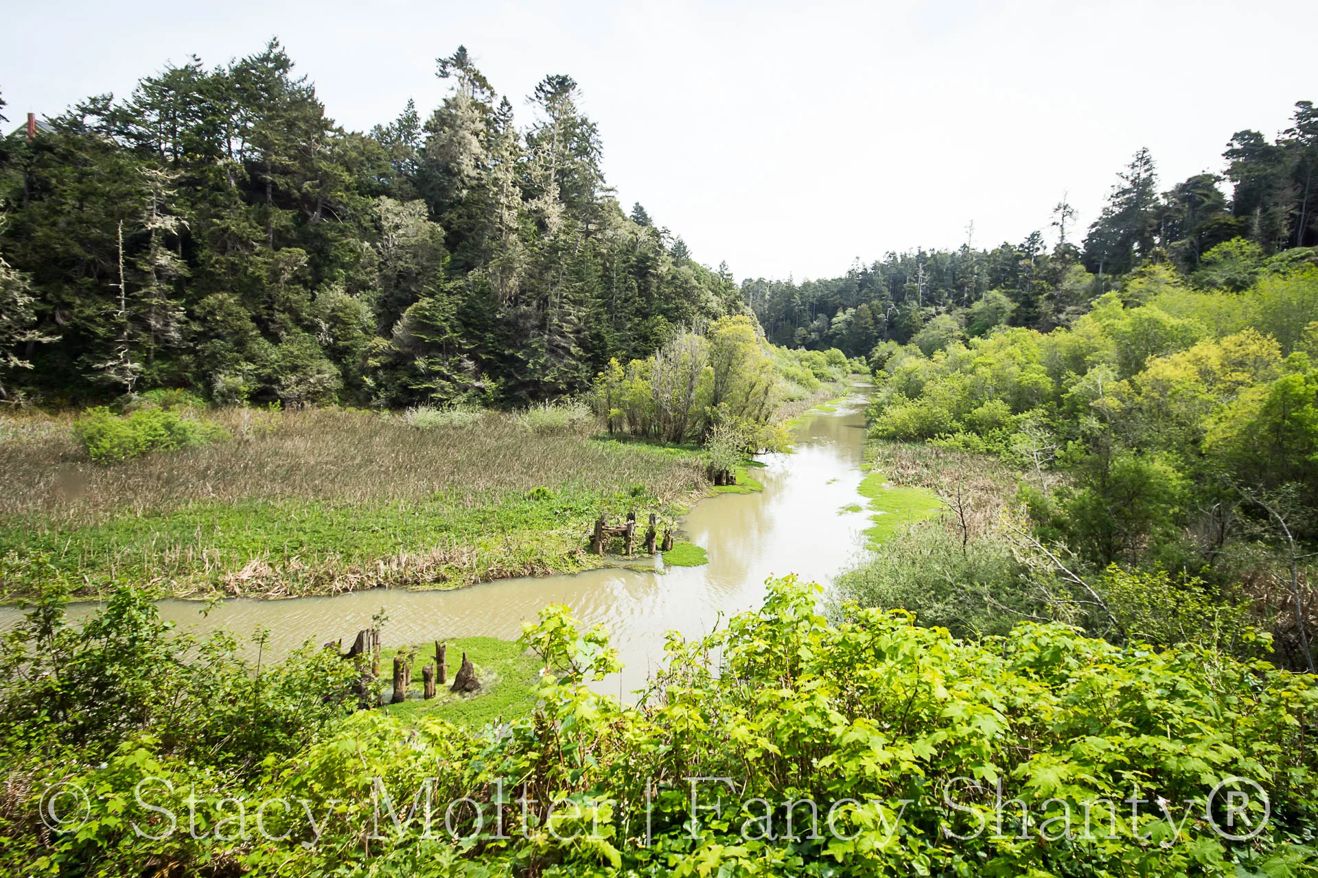 Mendocino Coastal Botanical Gardens