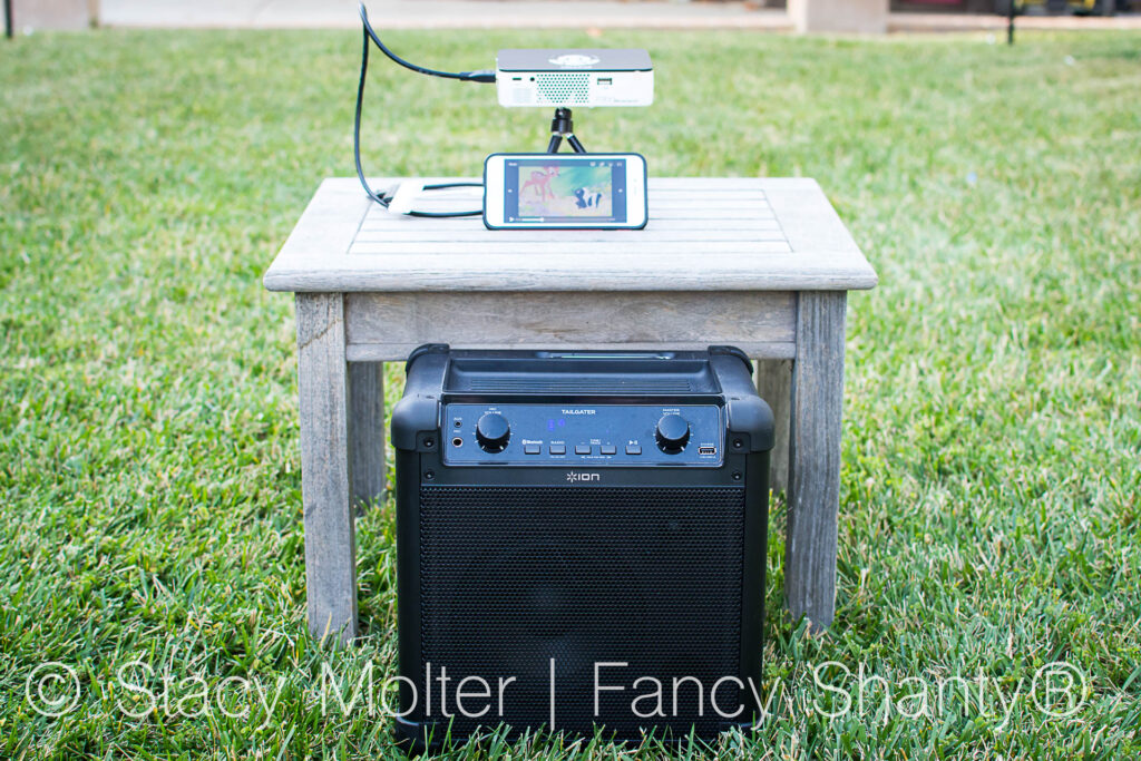 Outdoor Screening with Bambi Themed Party Ideas