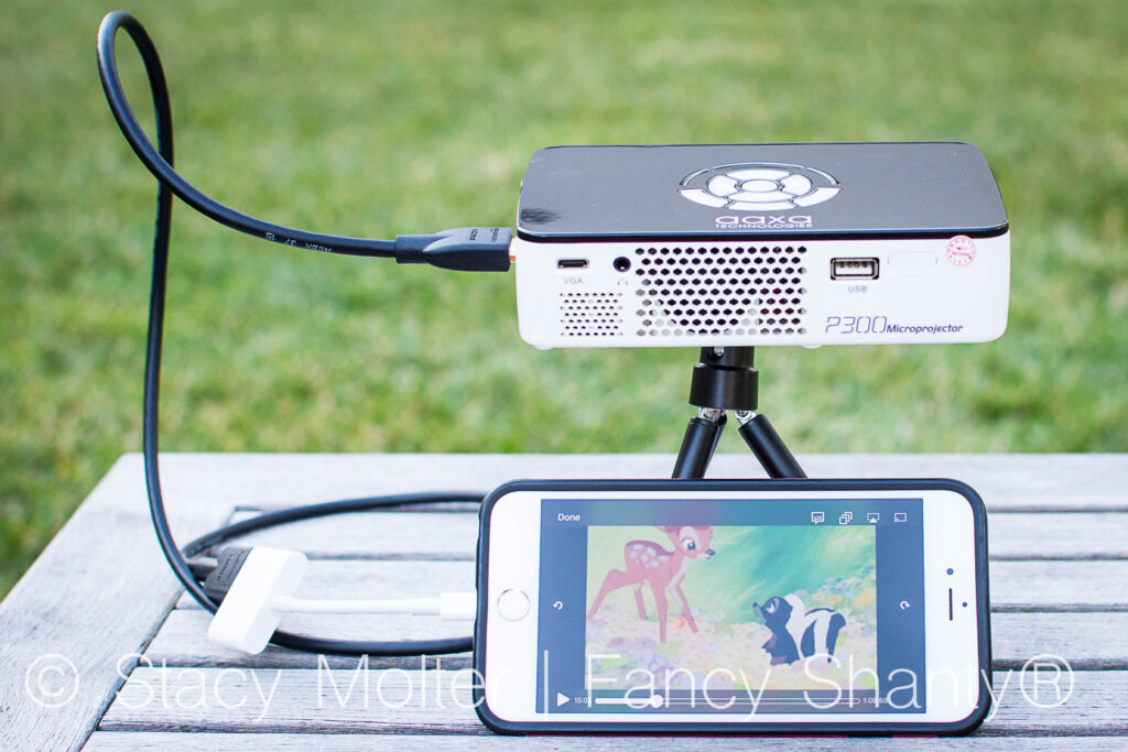 Outdoor Screening with Bambi Themed Party Ideas