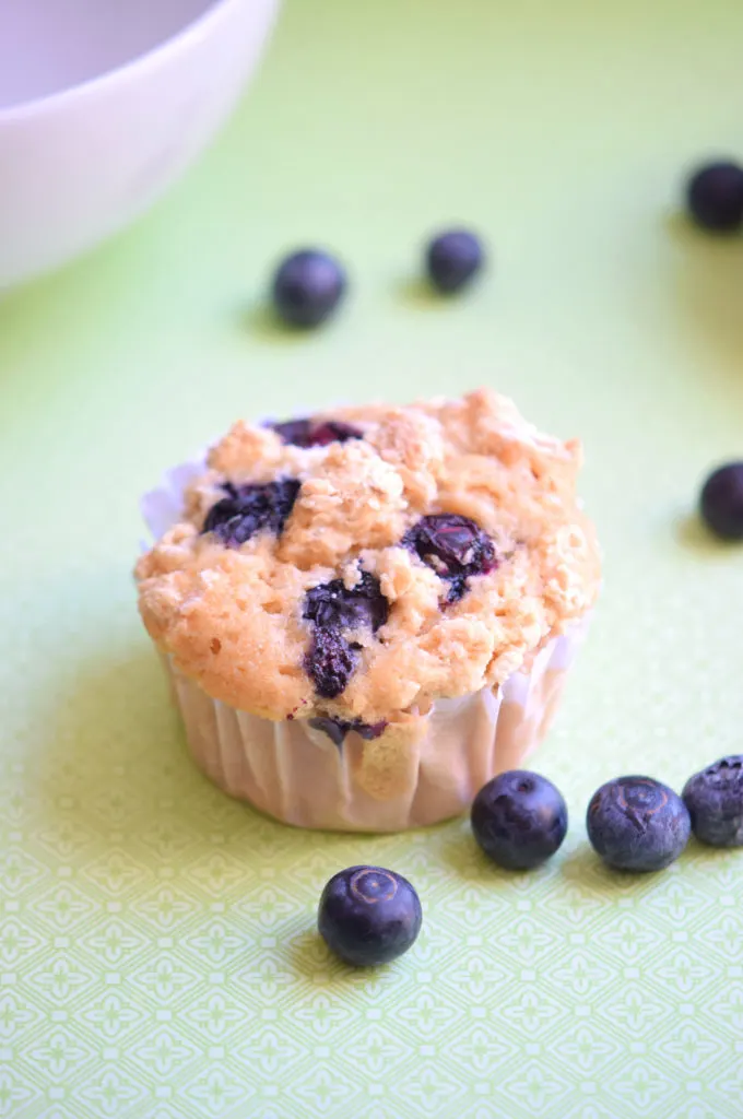 Make Ahead Blueberry Muffin Recipe