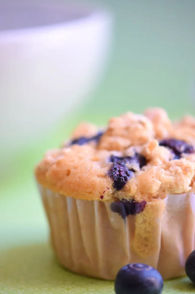 Make Ahead Blueberry Muffin Recipe