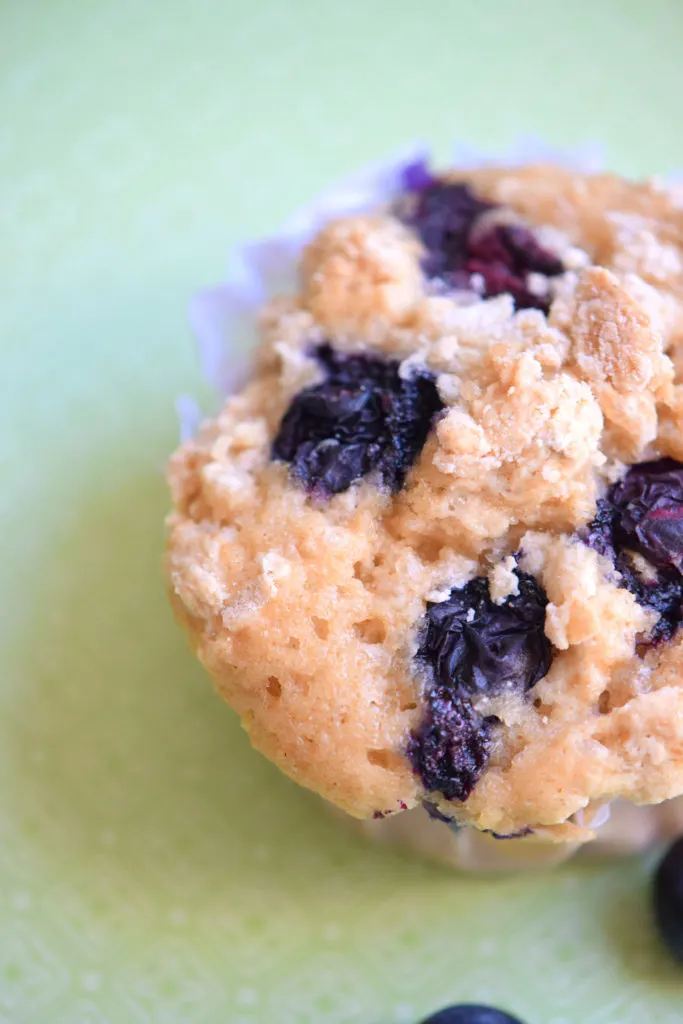Make Ahead Blueberry Muffin Recipe