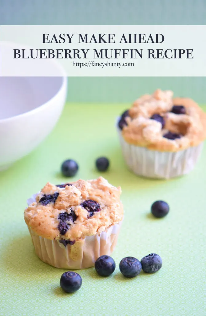 Make Ahead Blueberry Muffin Recipe