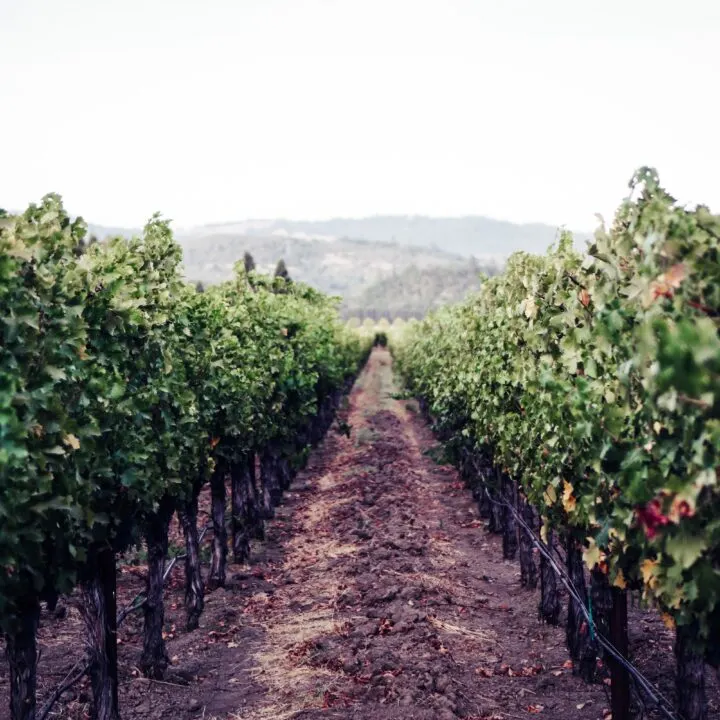 Bothe-Napa Valley State Park