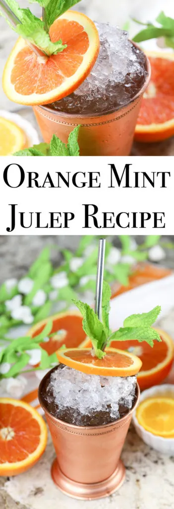Orange Mint Julep Recipe