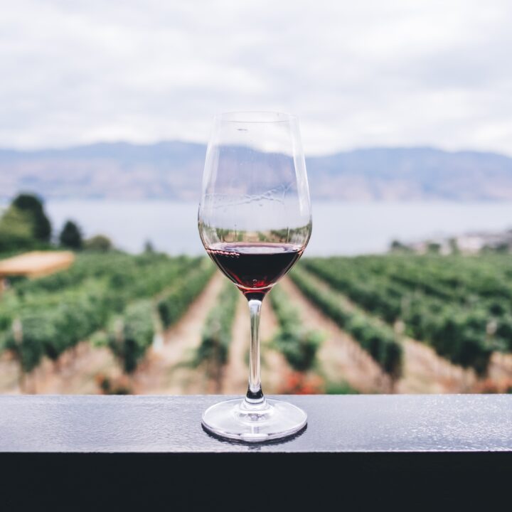 Camping in Wine Country - Here's What You Need to Know
