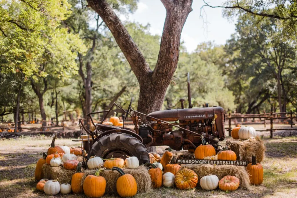 LIST: Pumpkin Patches in the valley