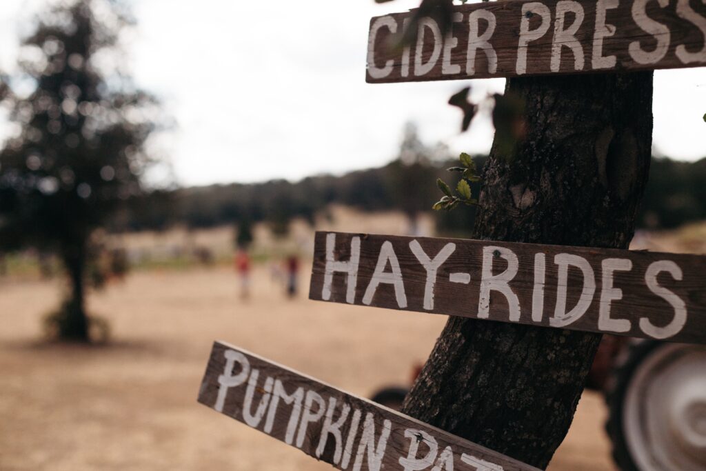 11 Best California Pumpkin Patches