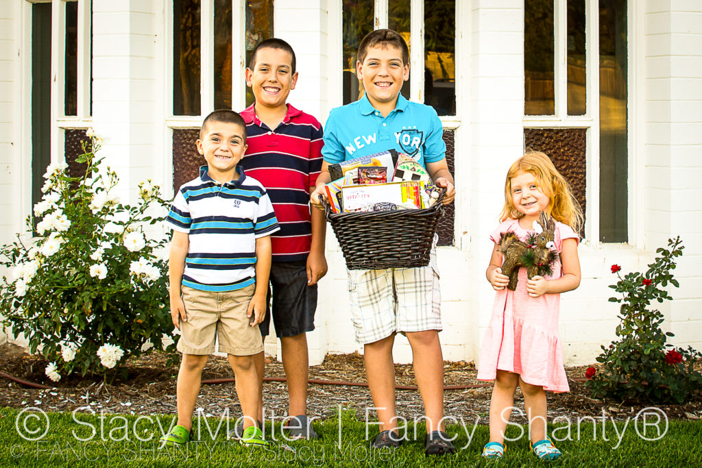 The Berenstain Bears and the Joy of Giving