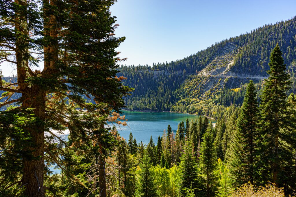 How to Travel to California on the Cheap