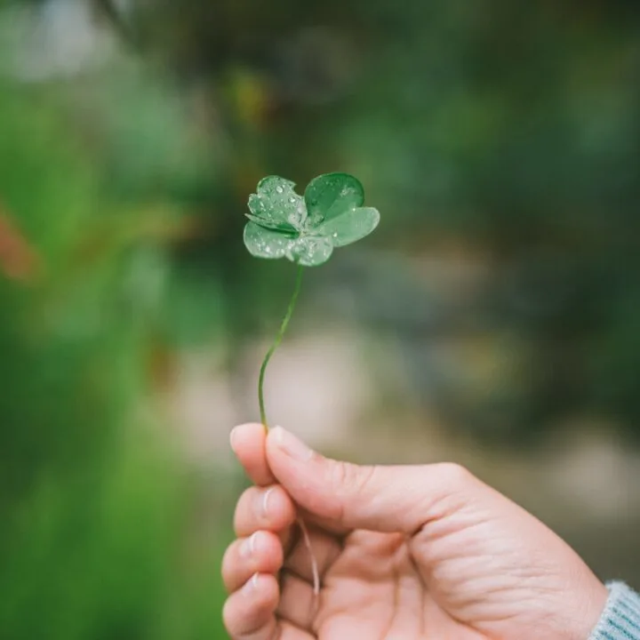 7 Ways to Celebrate St. Patrick’s Day with Kids