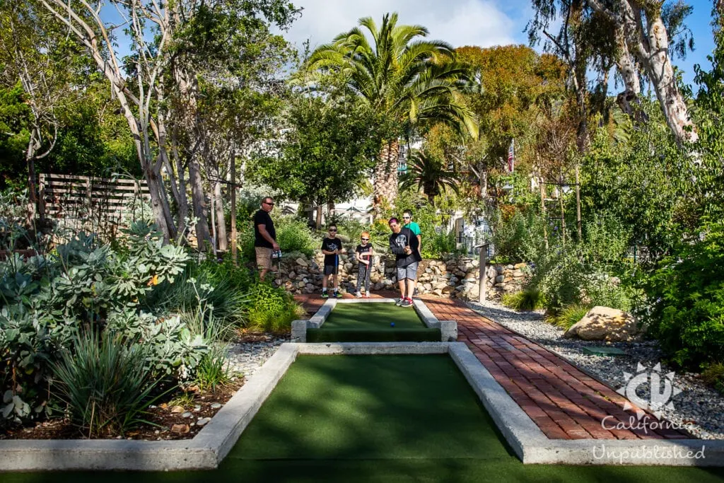 Santa Catalina Island - The Ultimate Family Adventure Getaway 5