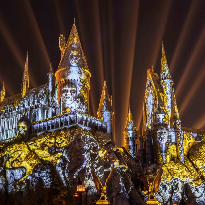 A Powerful Dark Arts Spell Has Been Cast on “The Wizarding World of Harry Potter”