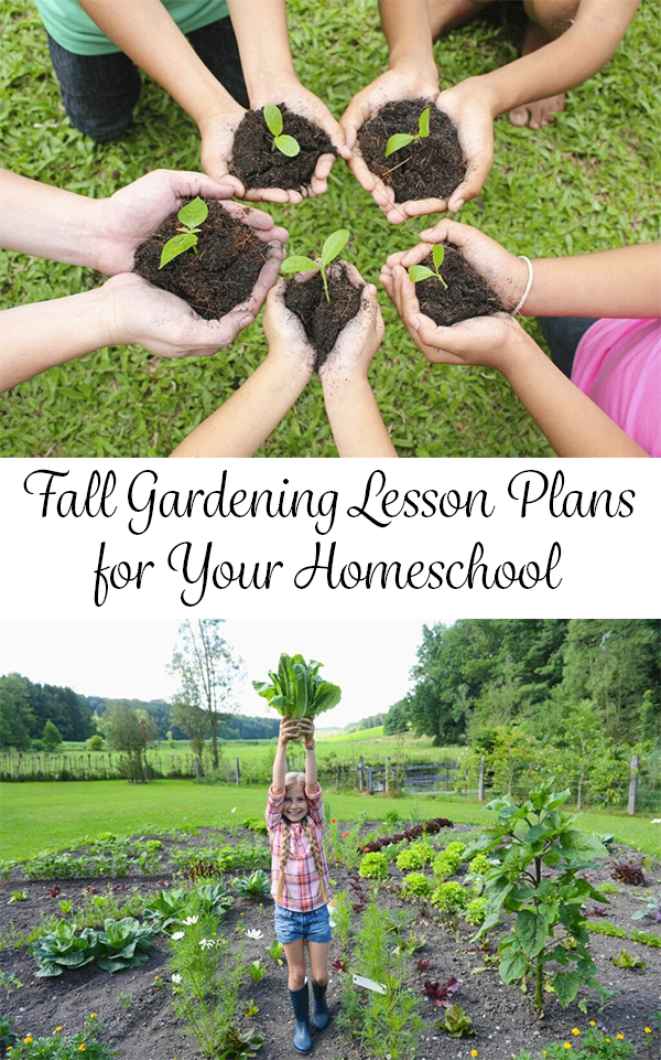 Fall Gardening Lesson Plans for Your Homeschool 7