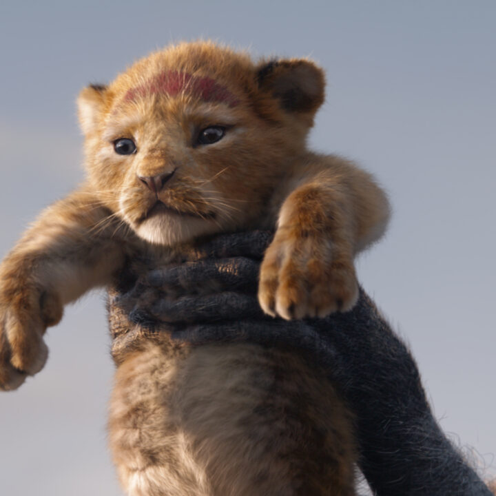 The Lion King Hits Theaters with a Thunderous Roar