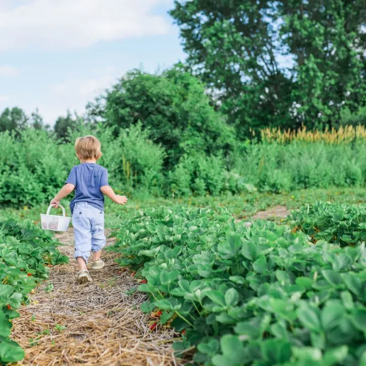 5 Benefits of Involving Your Kids in Gardening