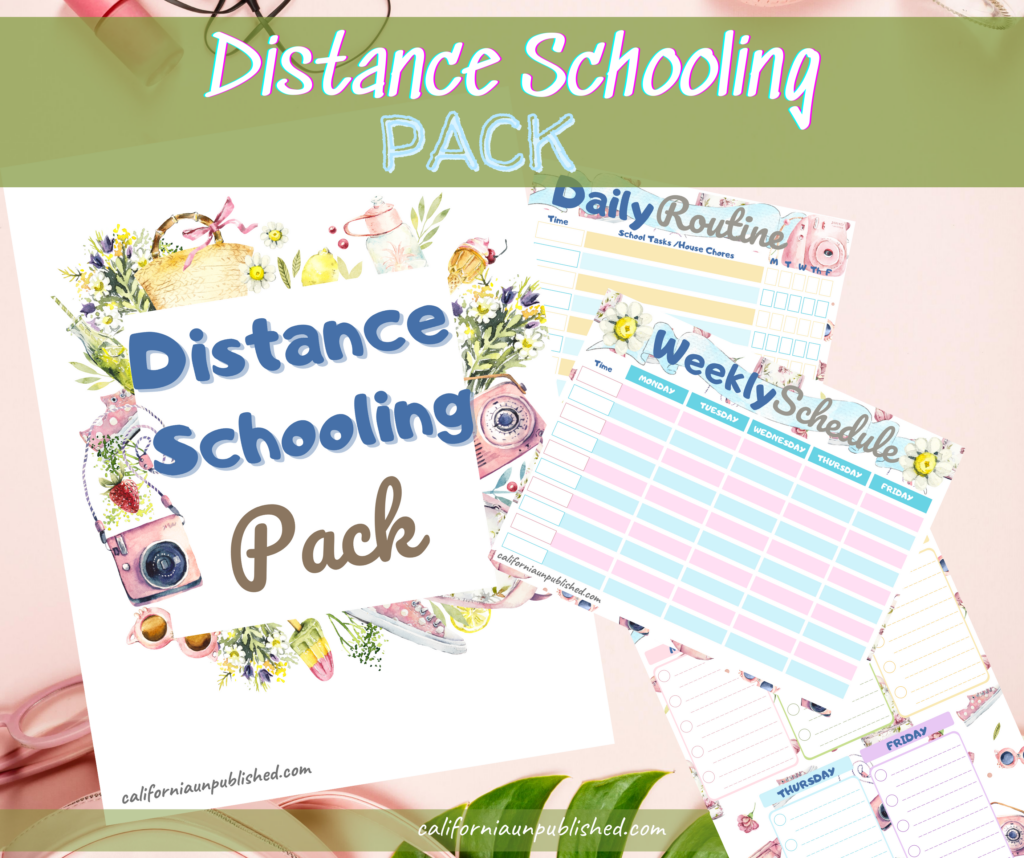 How to Make The Best of Distance Learning - Free Distance Learning Planner Printable
