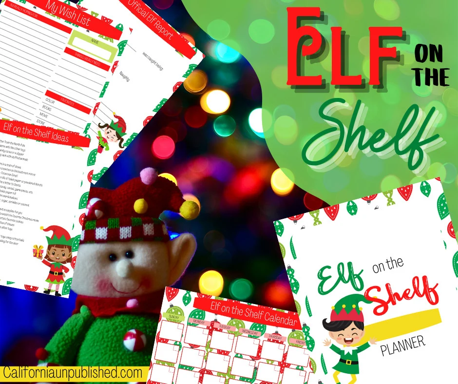 These are just a few Elf on the Shelf ideas to get you started. With a little creativity, the possibilities for Elf on the Shelf mischief are endless.