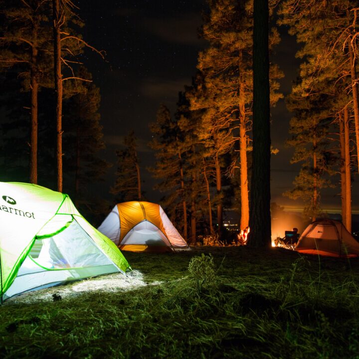 Discover the Top Campgrounds in California