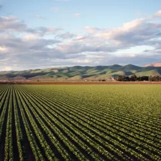 Santa Maria Valley: Discovering the Hidden Gems of California's Central Coast