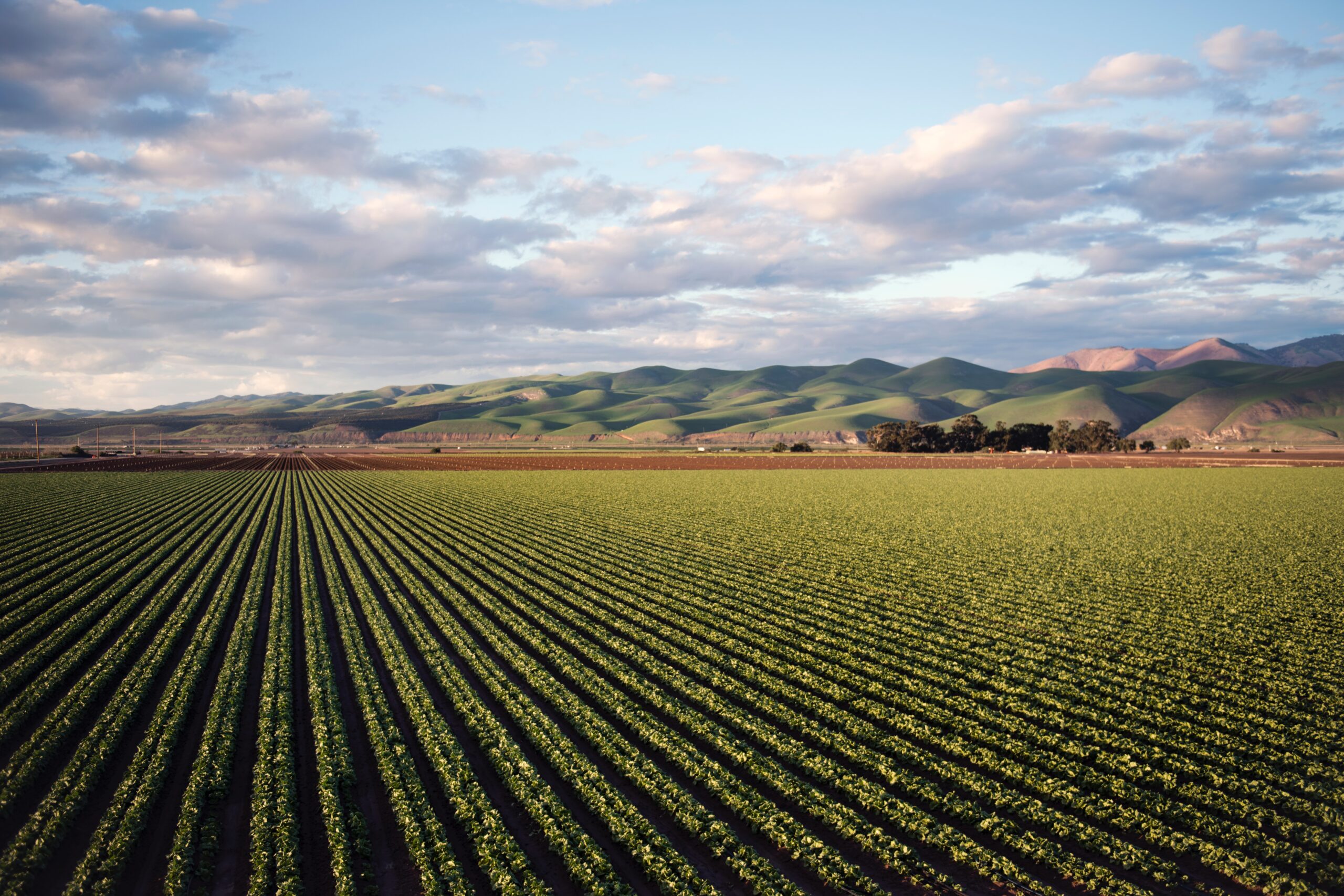 Santa Maria Valley: Discovering the Hidden Gems of California's Central Coast