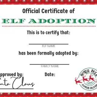 Elf Adoption Certificate