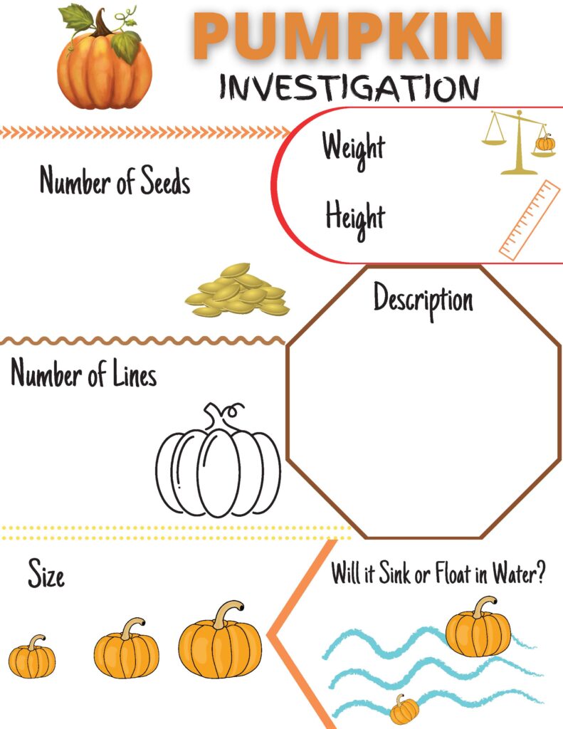 Free Printable Pumpkin Investigation Sheet