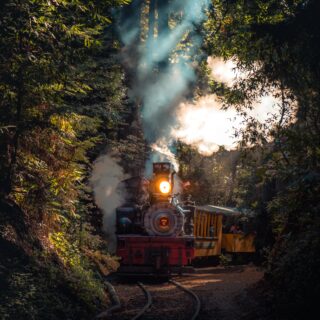 Skunk Train: A Unique Experience through the Redwoods